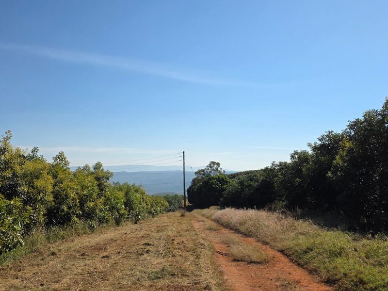 A scenic view of a farm landscape featuring a dirt access road, surrounding orchards, and distant mountain vistas under a clear blue sky.