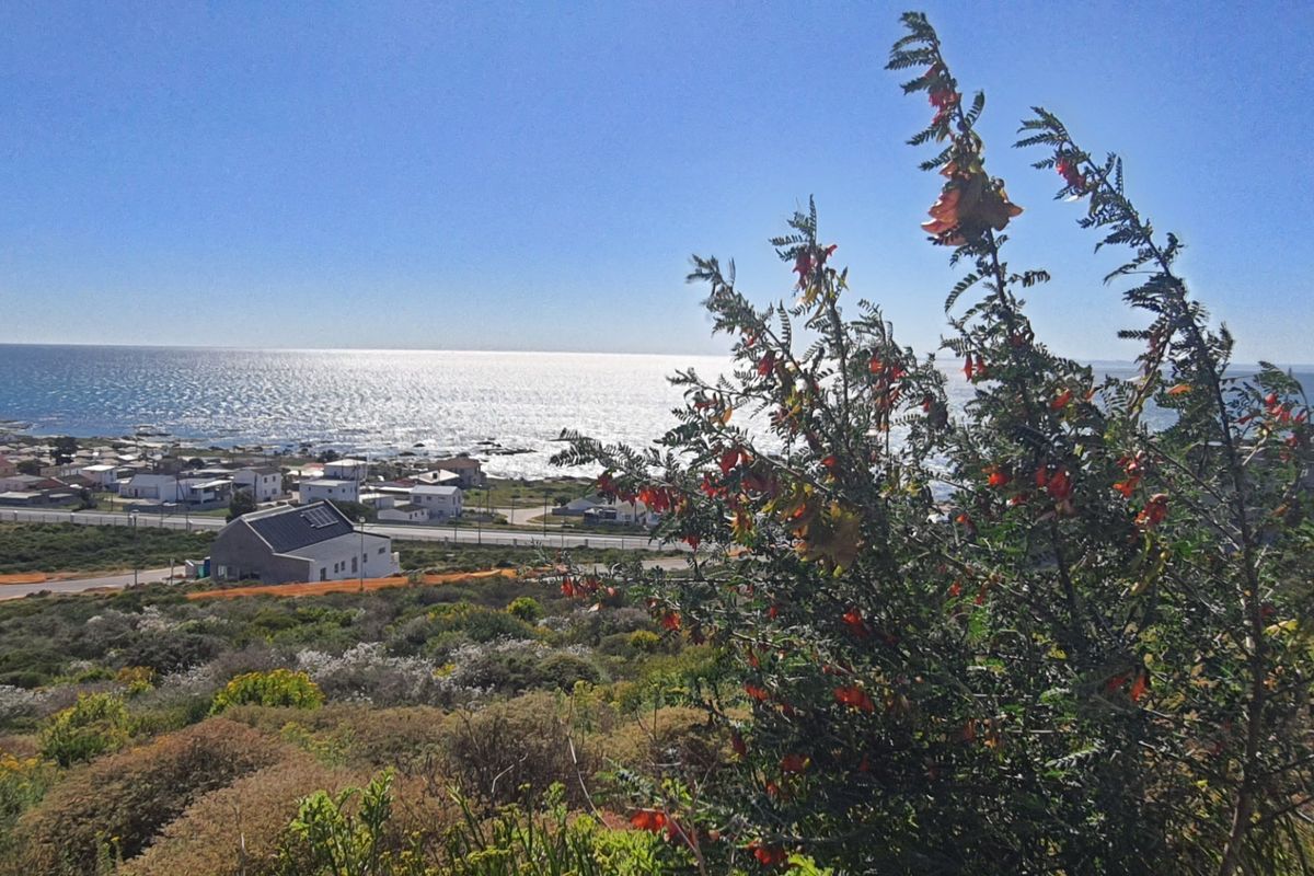 A scenic elevated view overlooking the coastal landscape, ocean, and surrounding residential area.