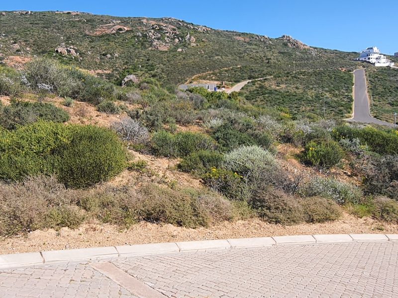A view of a vacant residential plot featuring natural sloped terrain and native vegetation, situated along a paved street in a hillside estate.