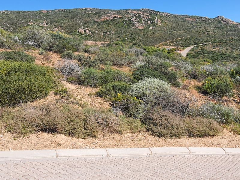 A view of a sloped, undeveloped residential plot featuring natural coastal vegetation and adjacent paved road access.