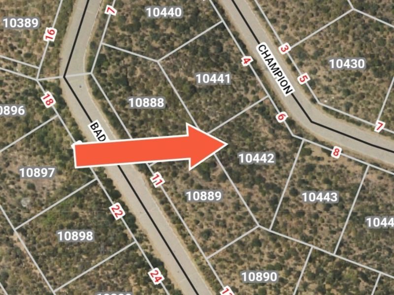 An aerial view of a residential vacant land plot, identified as lot 10442, situated within a developed estate with established road access.