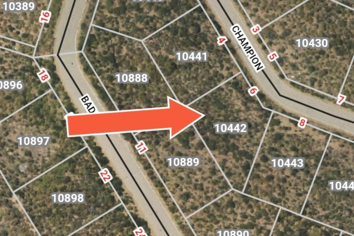 An aerial view of a residential vacant land plot, identified as lot 10442, situated within a developed estate with established road access.
