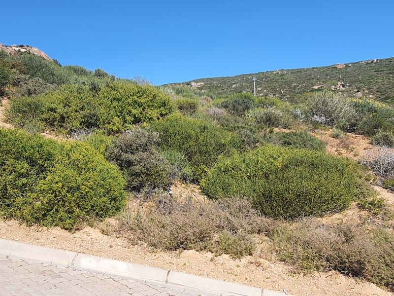 A view of a sloped, undeveloped residential plot featuring natural coastal vegetation and a paved curb along the street boundary.