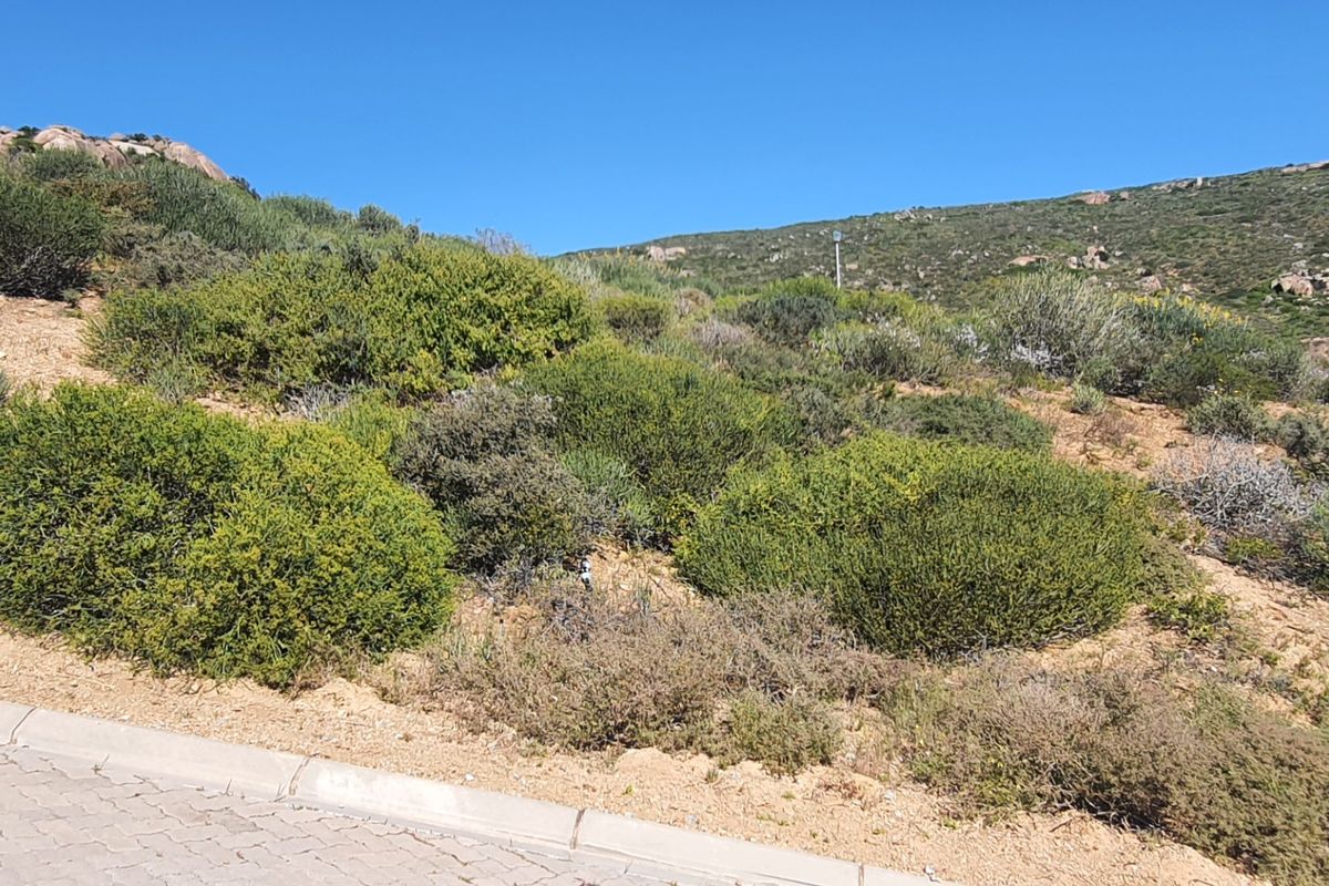 A view of a sloped, undeveloped residential plot featuring natural coastal vegetation and a paved curb along the street boundary.