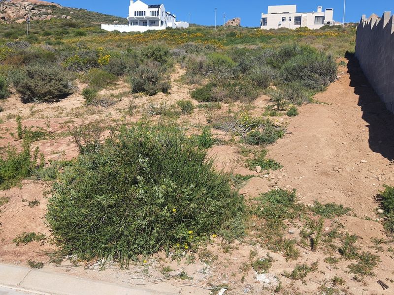 A vacant residential plot featuring natural vegetation, a concrete boundary wall, and a concrete curb, situated in a sloped coastal neighborhood.
