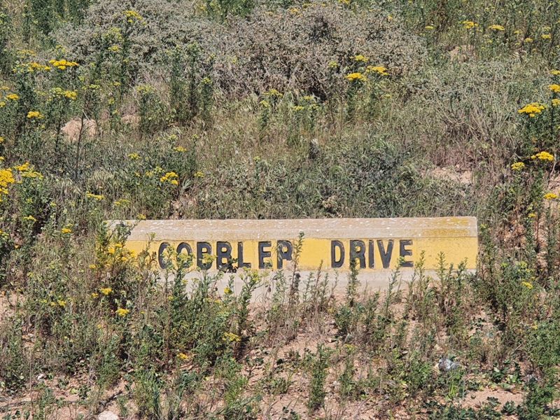 A street name sign for Cobbler Drive situated on a vacant residential plot surrounded by natural vegetation.