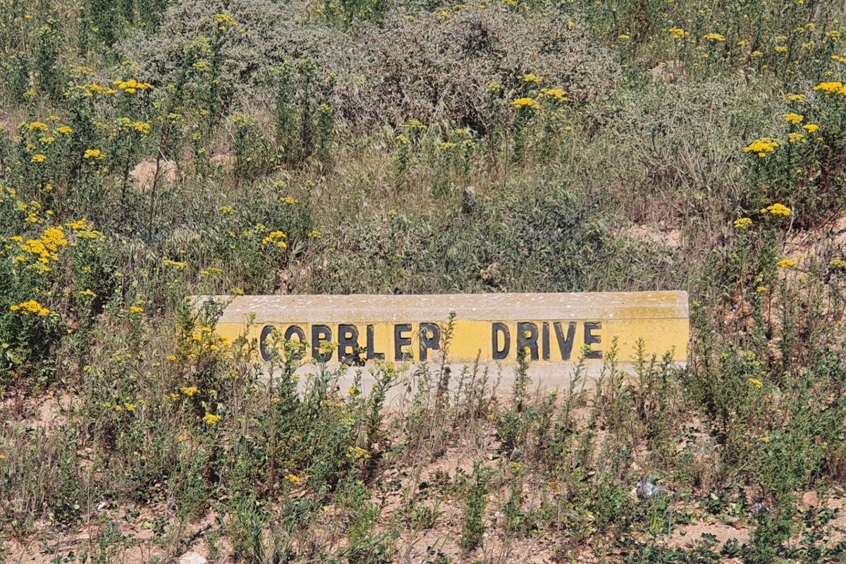 A street name sign for Cobbler Drive situated on a vacant residential plot surrounded by natural vegetation.