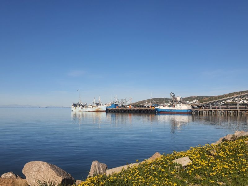 A scenic view of the harbour featuring docked fishing vessels, a jetty, and industrial infrastructure along the coastline.