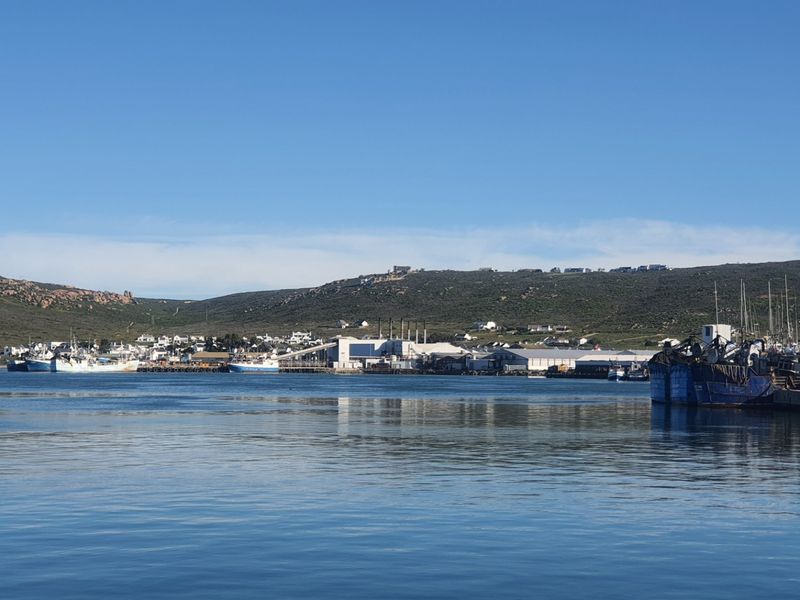A scenic view of the coastal harbour and surrounding landscape, showcasing the local maritime environment and distant hillside residential area.