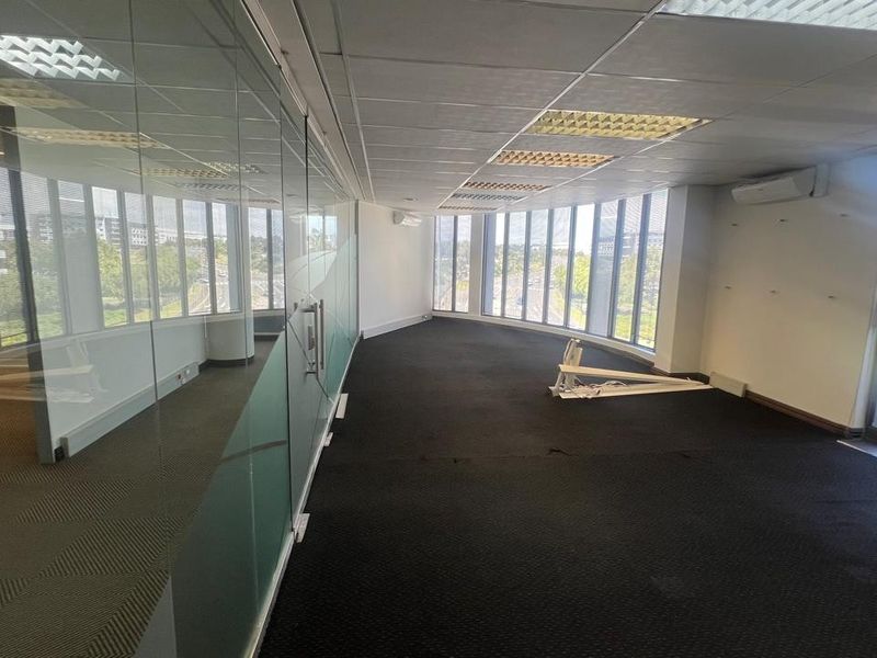 A bright, open-plan office space featuring glass partitioning, suspended ceilings, carpeted flooring, and expansive windows providing ample natural light.