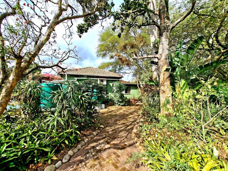A view of the rear garden featuring a brick paved pathway leading towards the house, surrounded by mature trees and large water storage tanks.