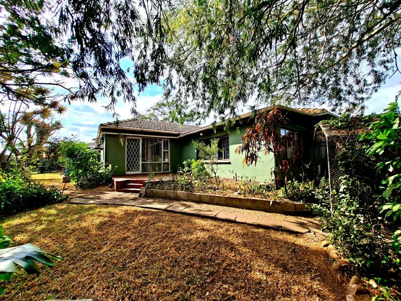 Rear view of the house featuring a concrete patio, sliding glass doors with security gates, and a garden area with mature trees.