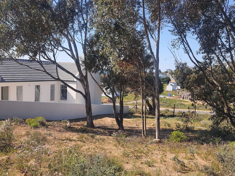 A view of a residential property featuring a white exterior facade, tiled roof, and boundary wall, set within a natural landscape with mature trees.