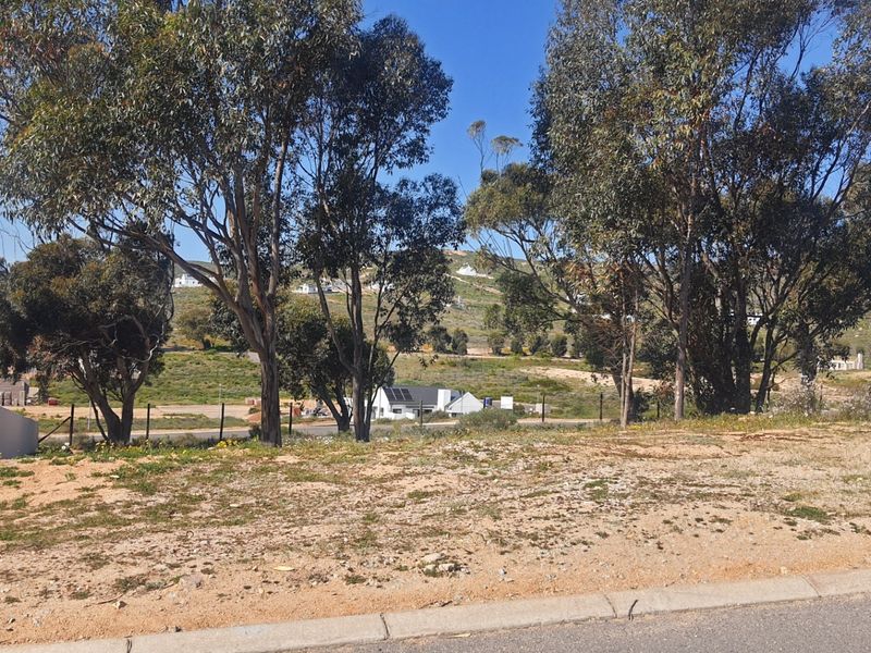 A vacant residential plot featuring mature trees, wire fencing, and a concrete curb, offering a clear view of the surrounding landscape.