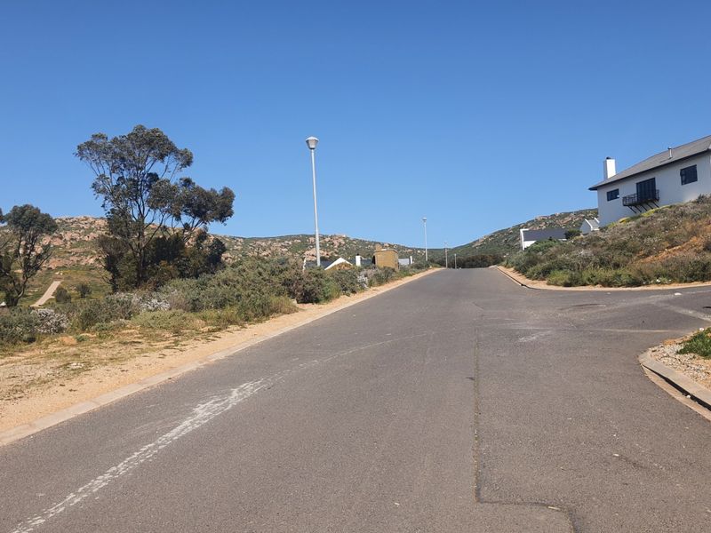 A view of the paved residential street and surrounding landscape in a coastal estate setting.