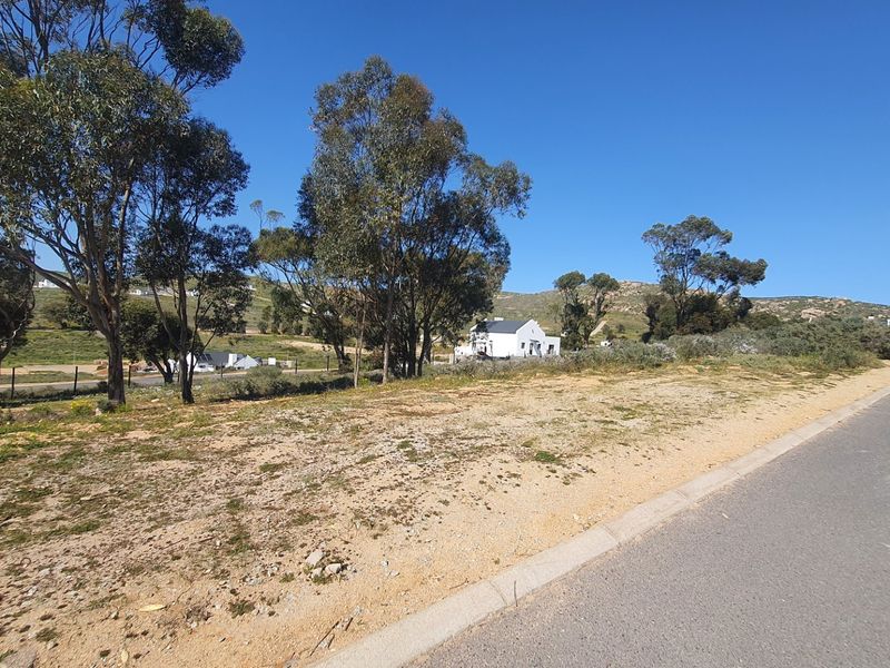 A view of a vacant residential plot featuring natural vegetation, mature trees, and adjacent paved road infrastructure with concrete curbing.