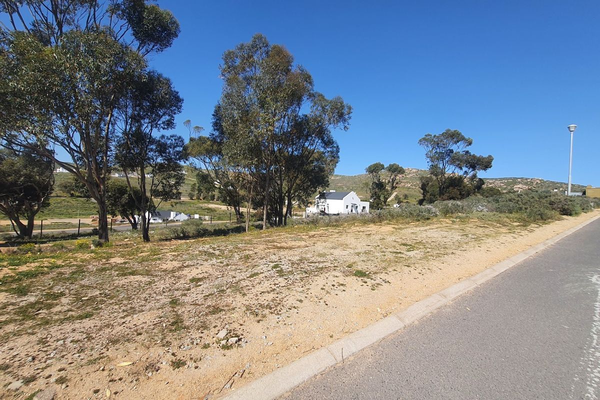 A view of a vacant residential plot featuring natural vegetation, mature trees, and adjacent paved road infrastructure with concrete curbing.
