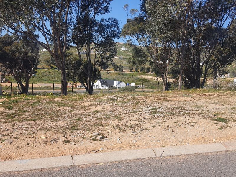 A vacant residential plot featuring mature trees, a paved curb, and surrounding neighborhood views, ready for development.