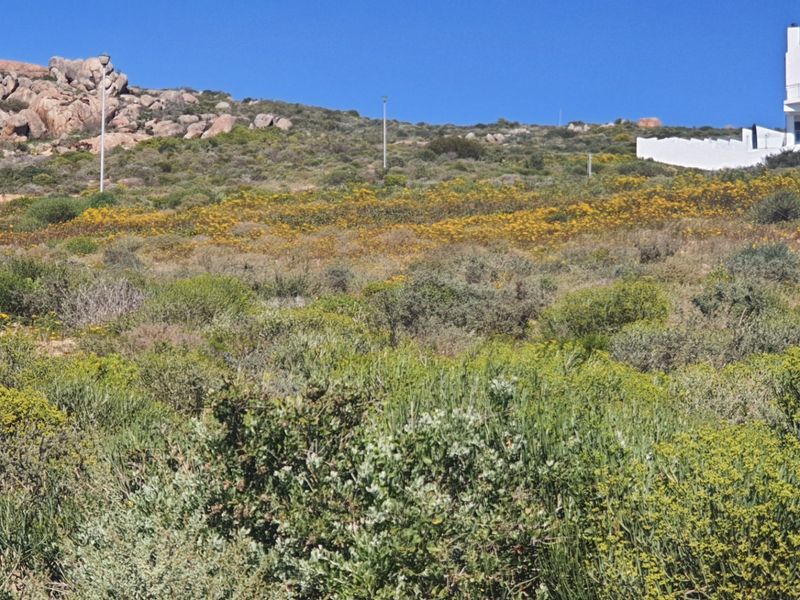 A scenic view of a sloped residential plot featuring natural coastal vegetation, rocky outcrops, and a neighboring property in the background.