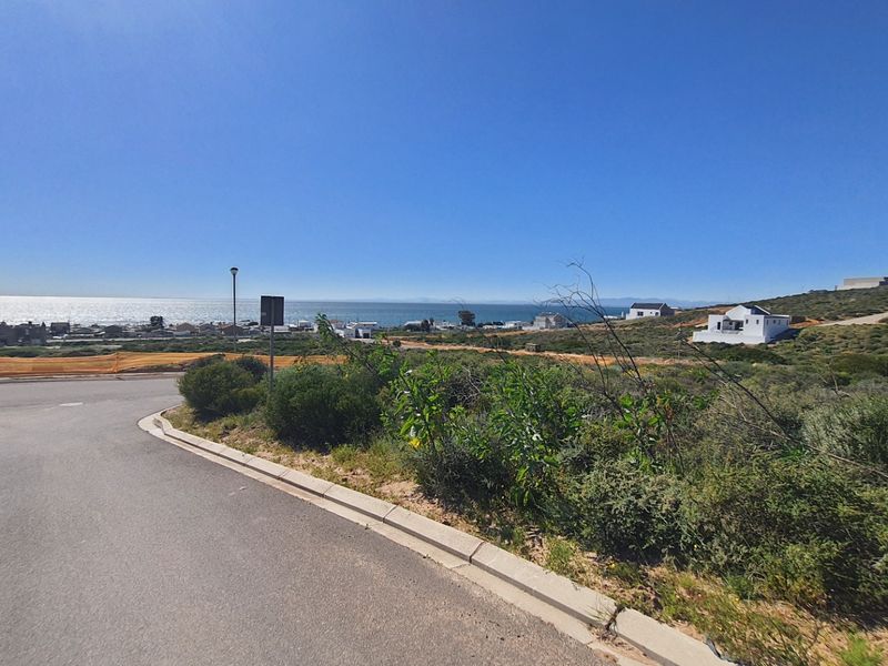 A scenic view of the coastline and surrounding residential landscape from a paved street level.