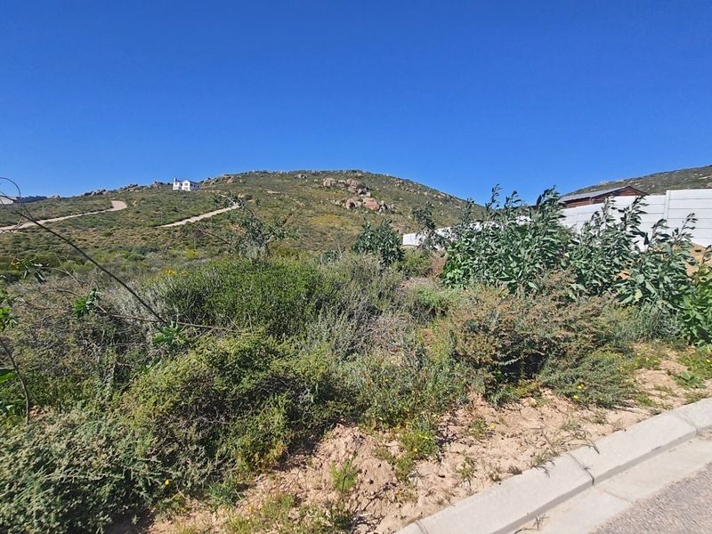 A vacant residential plot featuring natural vegetation, a concrete boundary wall, and direct access to a paved street.