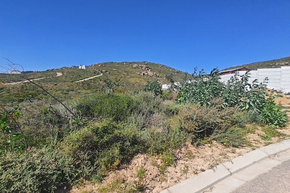 A vacant residential plot featuring natural vegetation, a concrete boundary wall, and direct access to a paved street.