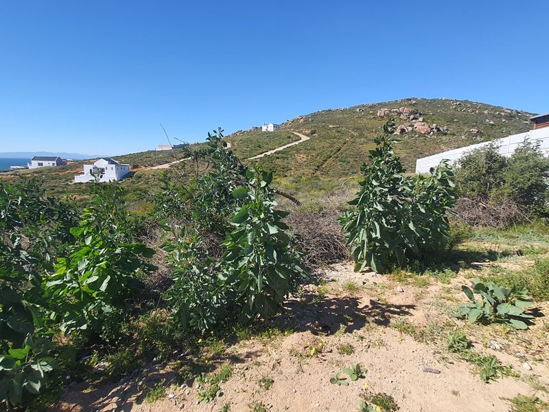 A scenic view of the surrounding coastal hillside and natural landscape, showcasing the elevated position and terrain of the vacant residential land.