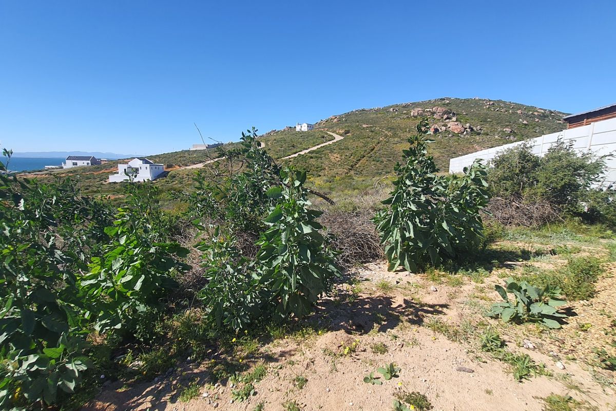 A scenic view of the surrounding coastal hillside and natural landscape, showcasing the elevated position and terrain of the vacant residential land.