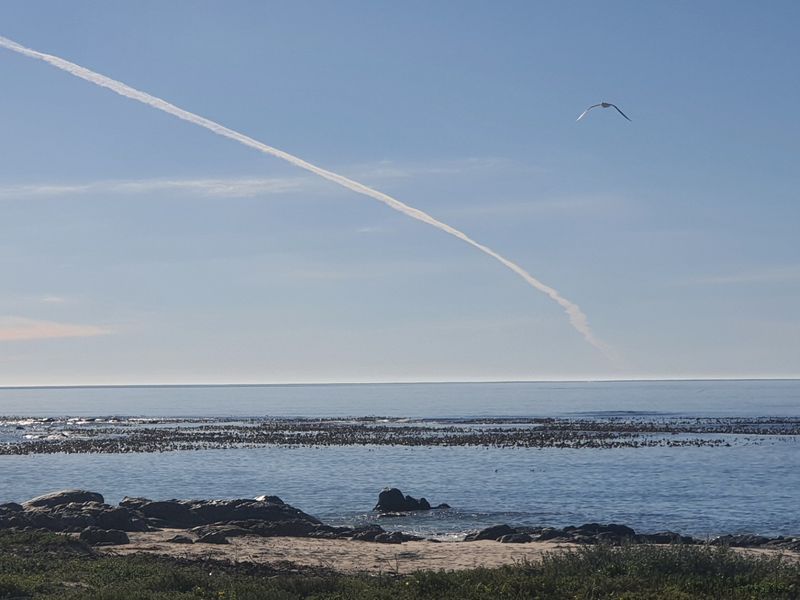 A scenic coastal view overlooking the ocean, showcasing the natural landscape and shoreline.