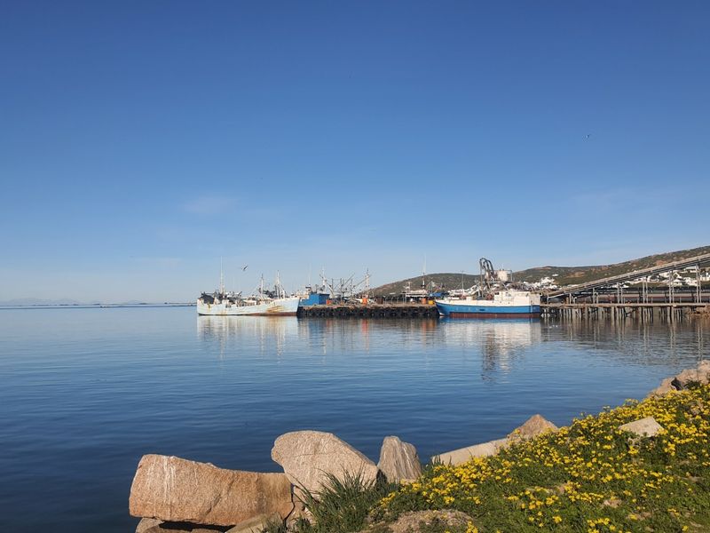 A scenic view of the coastal harbor area featuring calm waters, docked fishing vessels, and industrial infrastructure along the shoreline.