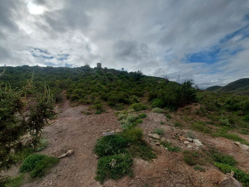 Farm For Sale in Ladismith Rural, Ladismith - Photo 10