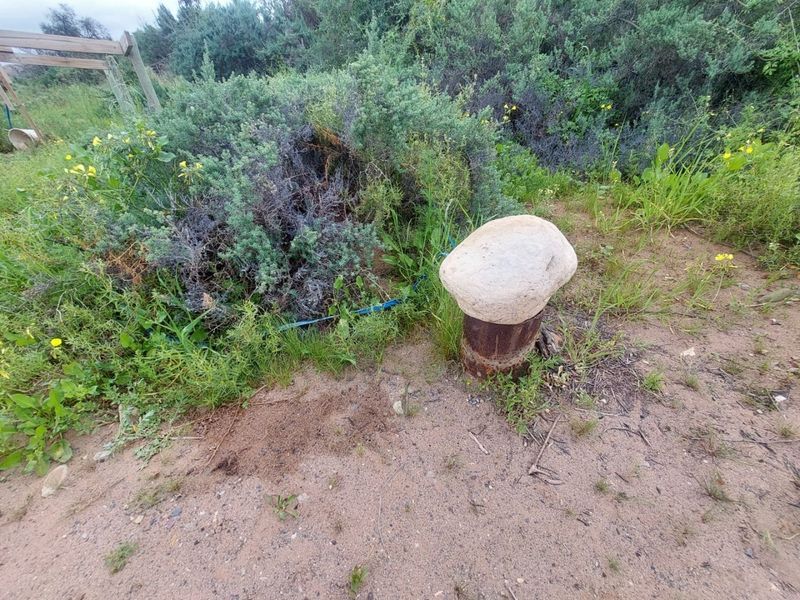 Farm For Sale in Ladismith Rural, Ladismith - Photo 6