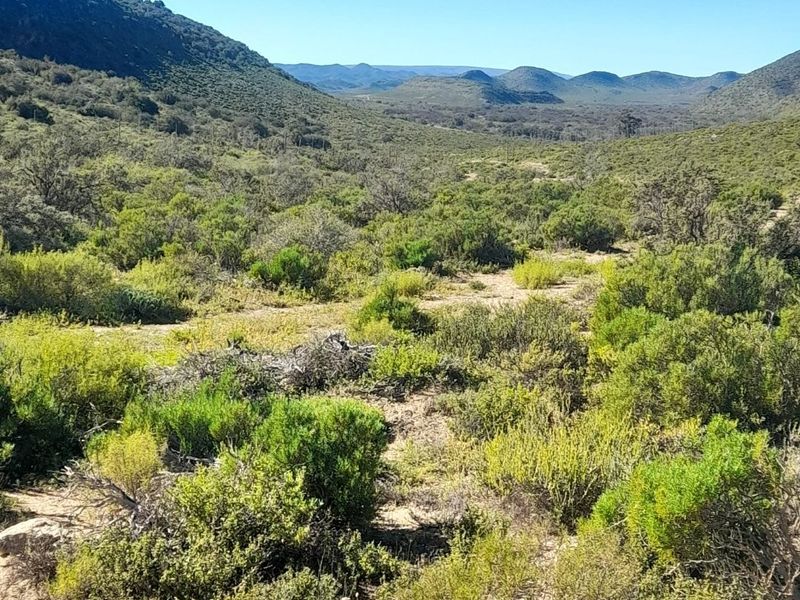 Farm For Sale in Ladismith Rural, Ladismith - Photo 2