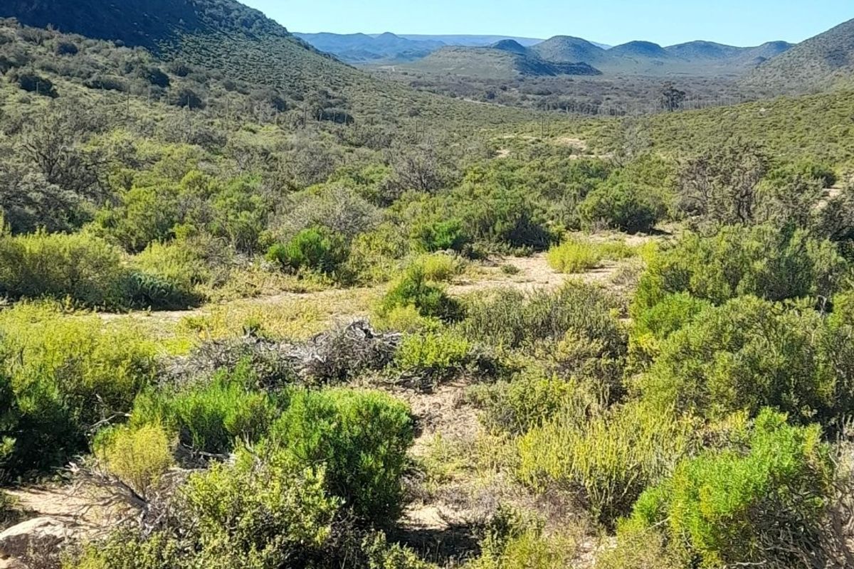 Expansive scenic view of the natural farm landscape featuring rolling hills and indigenous vegetation under a clear blue sky.