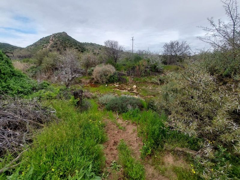 Farm For Sale in Ladismith Rural, Ladismith - Photo 3