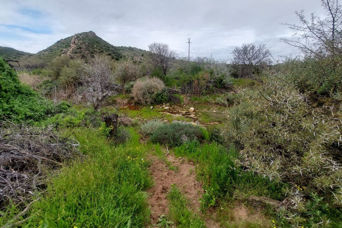 A scenic view of the natural farm landscape featuring rolling hills, native vegetation, and rugged mountain terrain under an overcast sky.