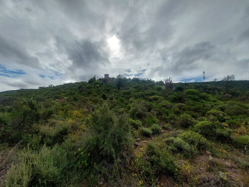 Farm For Sale in Ladismith Rural, Ladismith - Photo 4
