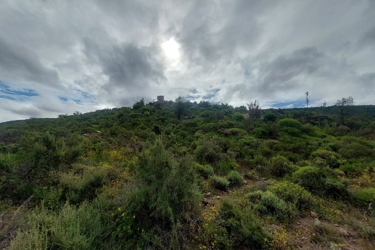 A scenic view of the natural hillside landscape on the farm property under a cloudy sky.