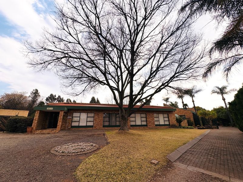 Front view of a single-story face brick house featuring a corrugated metal roof, paved driveway, and a large mature tree in the front garden.