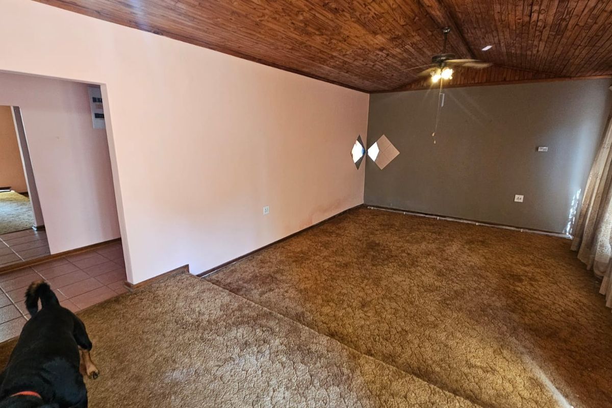 Spacious living area featuring a timber-clad vaulted ceiling, ceiling fan, and unique diamond-shaped accent windows, offering a blank canvas for renovation.