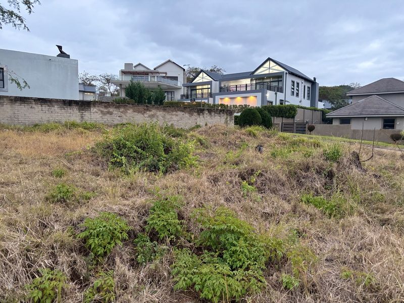 A vacant residential plot featuring overgrown vegetation and a boundary wall, situated in an established neighborhood with surrounding residential properties.