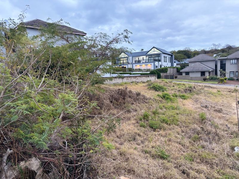 A vacant residential plot featuring natural vegetation, a retaining wall, and surrounding established residential properties in a quiet neighborhood setting.