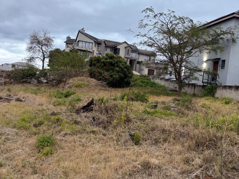 A view of a vacant residential plot featuring natural vegetation and surrounding boundary walls, showing the land in its current undeveloped state.