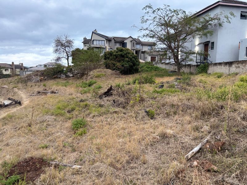 A vacant residential plot featuring natural vegetation, uneven terrain, and existing boundary walling, situated in an established neighborhood.