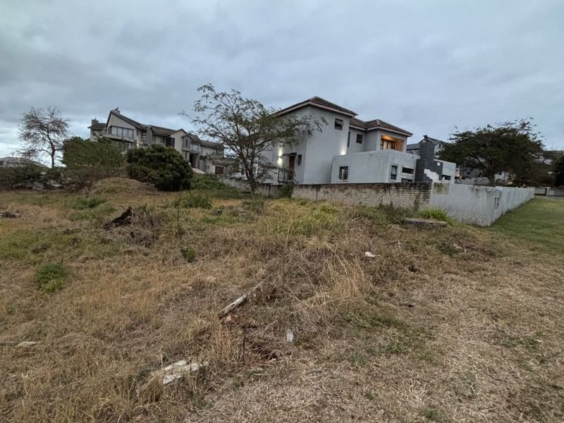 A view of a vacant residential plot with natural grass and a boundary wall, adjacent to existing residential properties.