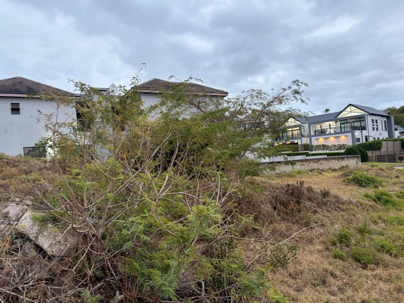 A view of a vacant residential plot featuring natural vegetation and a retaining wall, with neighboring residential properties visible in the background.