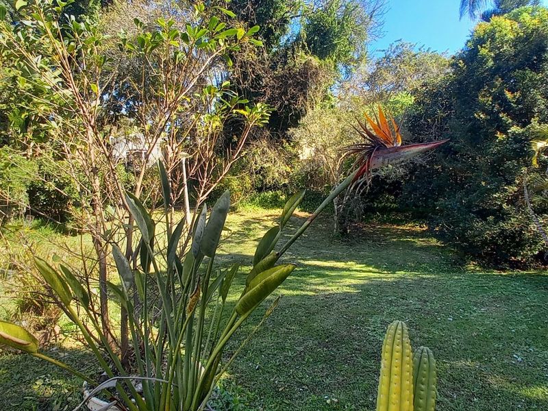 A lush, established garden featuring a well-maintained lawn, mature trees, and diverse plantings, providing a private and serene outdoor space.