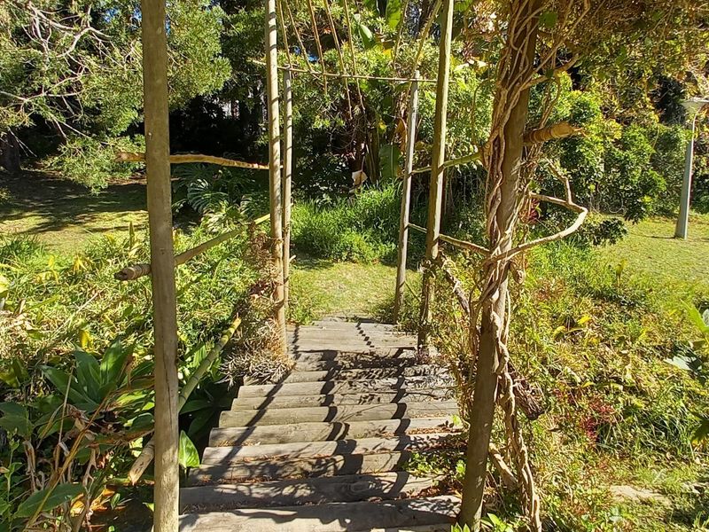 A garden pathway featuring a wooden staircase and timber pergola structure set within a lush, established outdoor area.