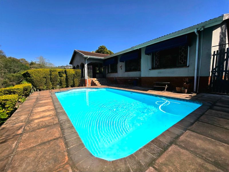 A backyard swimming pool area featuring a paved deck, established garden hedges, and exterior house access with protective window awnings.