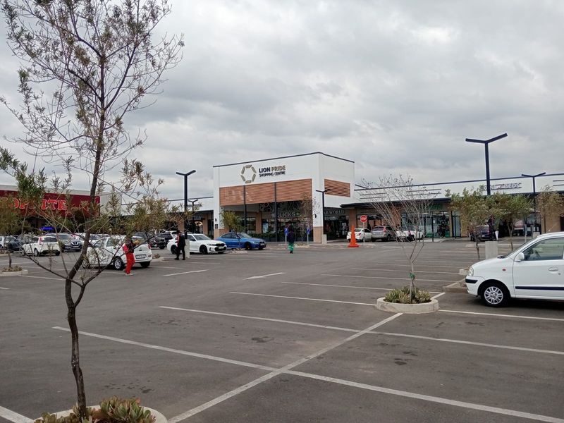 Exterior view of the Lion Pride Shopping Centre featuring a paved parking lot, modern commercial storefronts, and established landscaping.